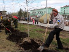 В Ленинском районе на мемориальном комплексе в честь 70-летия Победы высадили 70 деревьев. 