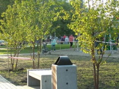 В Красноярске состоялось открытие сквера «Солнечный»
